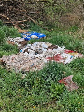 Koroška ribiška družina (5)